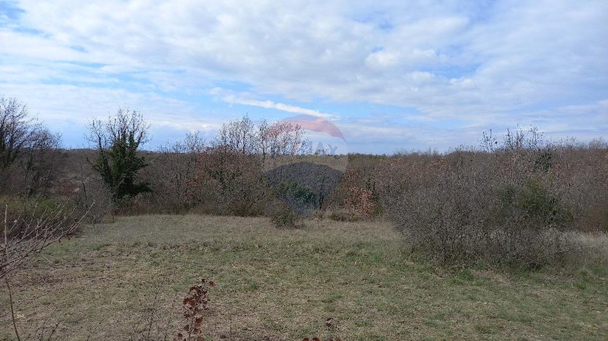 Terreno In vendita