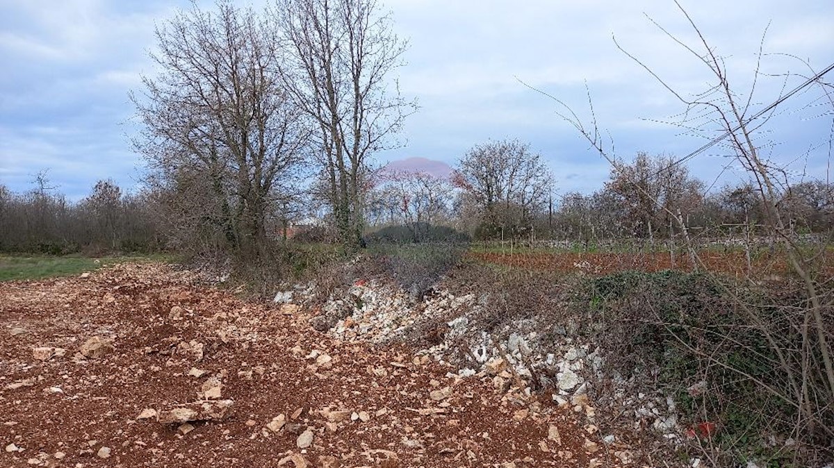 Terreno In vendita - ISTARSKA  VODNJAN 