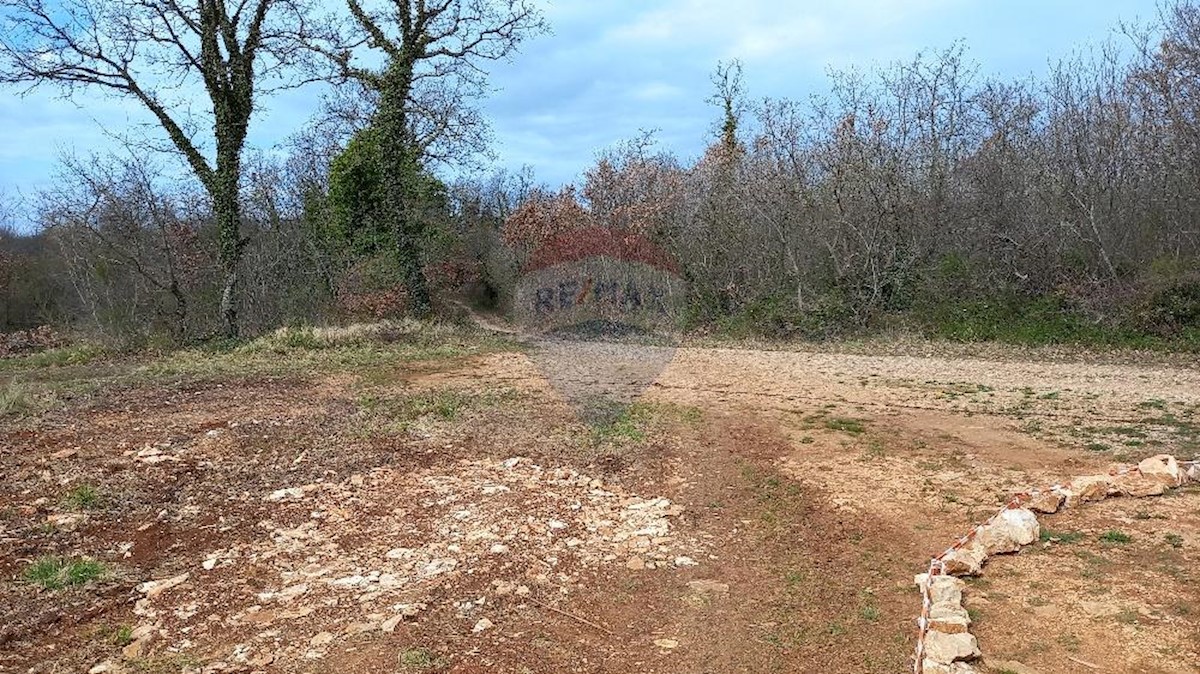 Terreno In vendita - ISTARSKA  VODNJAN 