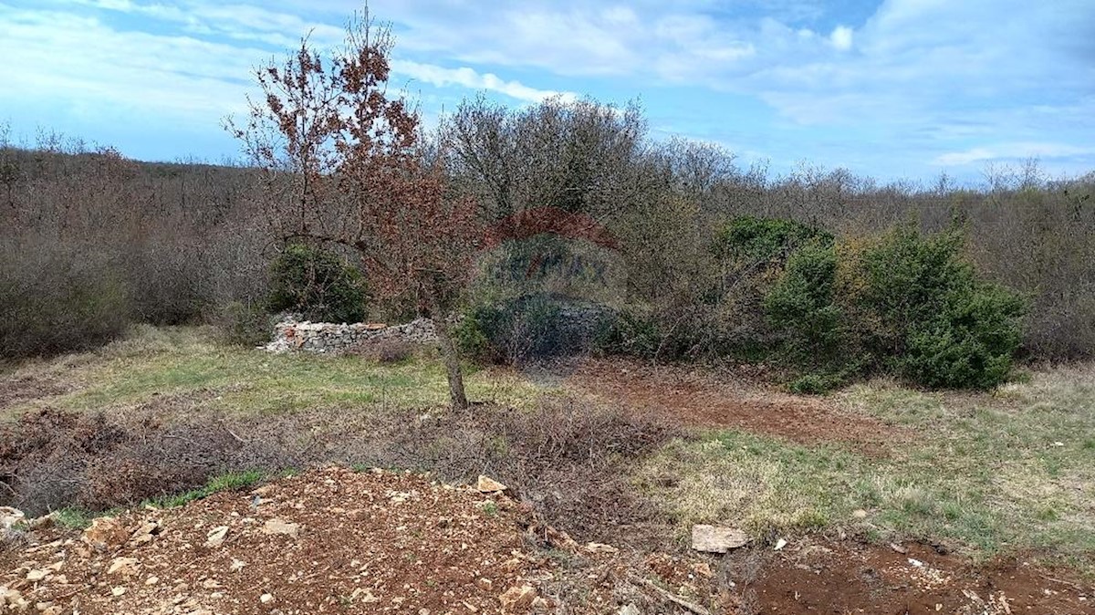 Terreno In vendita - ISTARSKA  VODNJAN 