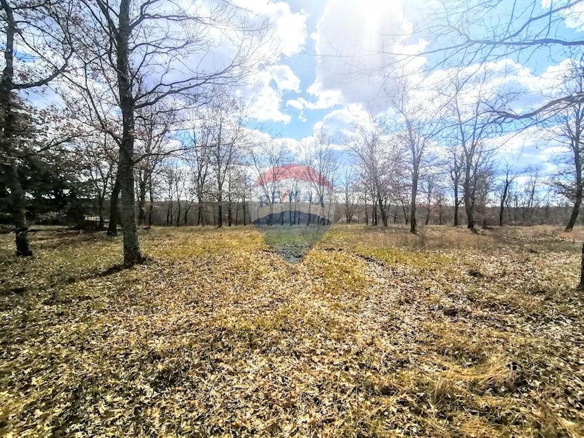 Terreno In vendita - ISTARSKA  VIŽINADA 