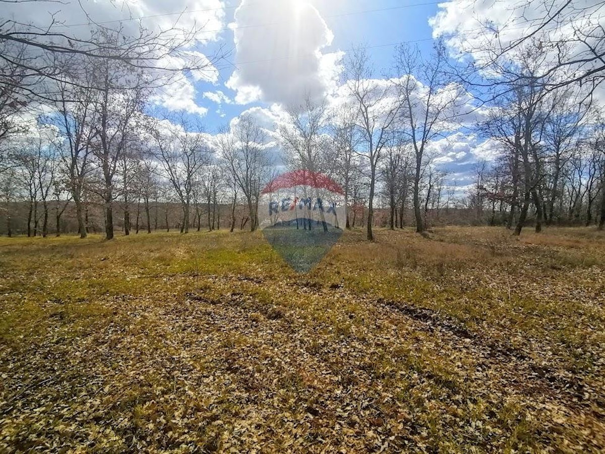 Terreno In vendita - ISTARSKA  VIŽINADA 