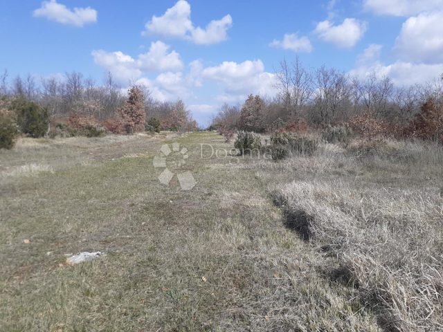 Terreno In vendita - Istarska Vodnjan - foto 3/6