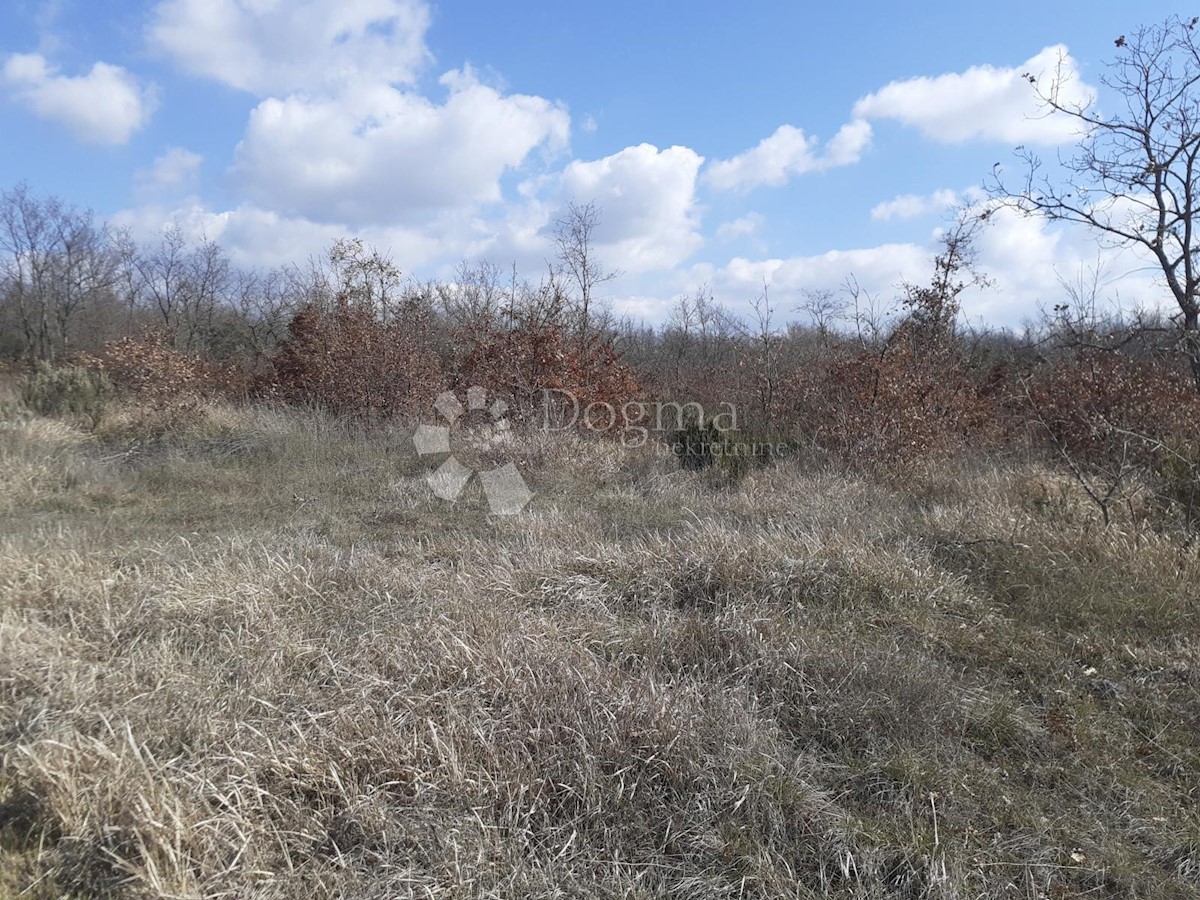Działka Na sprzedaż - ISTARSKA  VODNJAN 