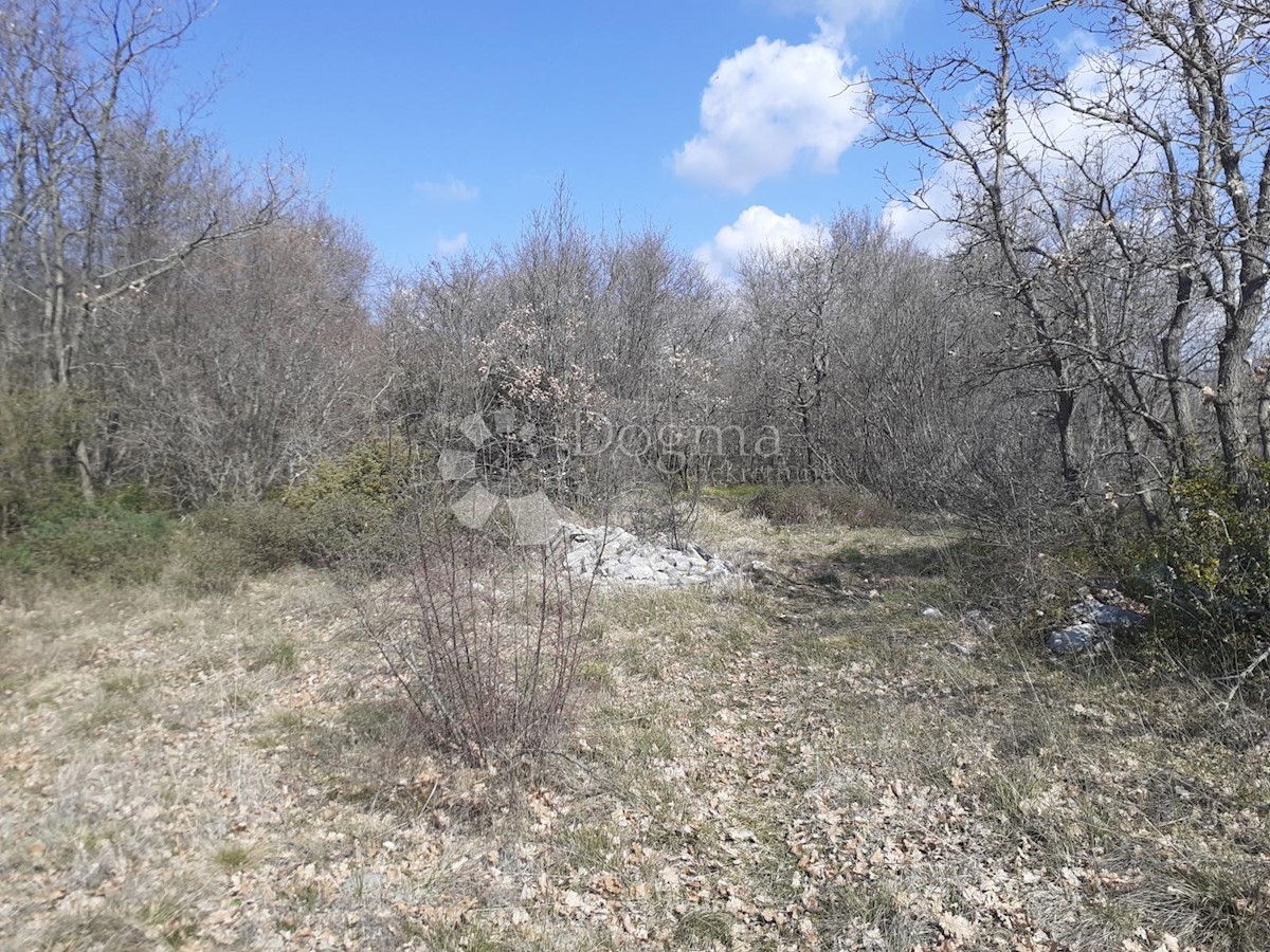 Terreno In vendita - ISTARSKA  Vodnjan