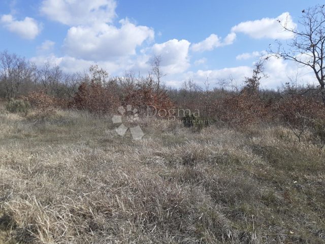 Terreno In vendita - Istarska Vodnjan - foto 3/6