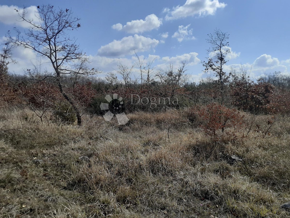 Terrain À vendre - ISTARSKA  VODNJAN 