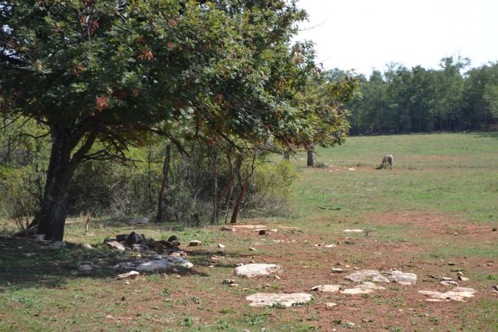 Parcela Naprodaj - Istarska Kaštelir - foto 3/11