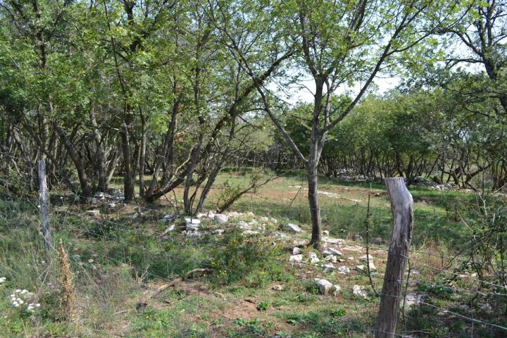 Parcela Naprodaj - Istarska Kaštelir - foto 4/11