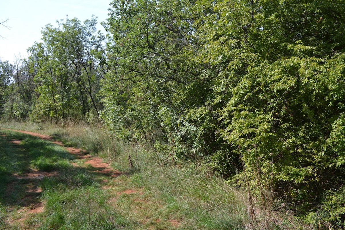 Pozemok Na predaj - ISTARSKA  KAŠTELIR 