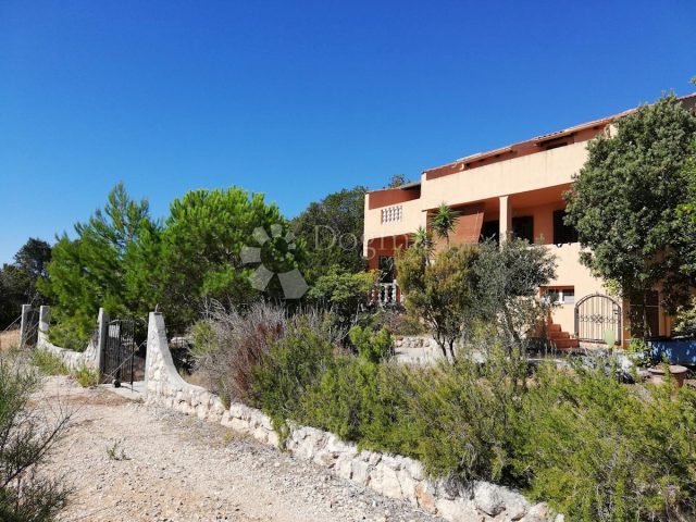House For sale - Zadarska Ugljan - foto 4/14