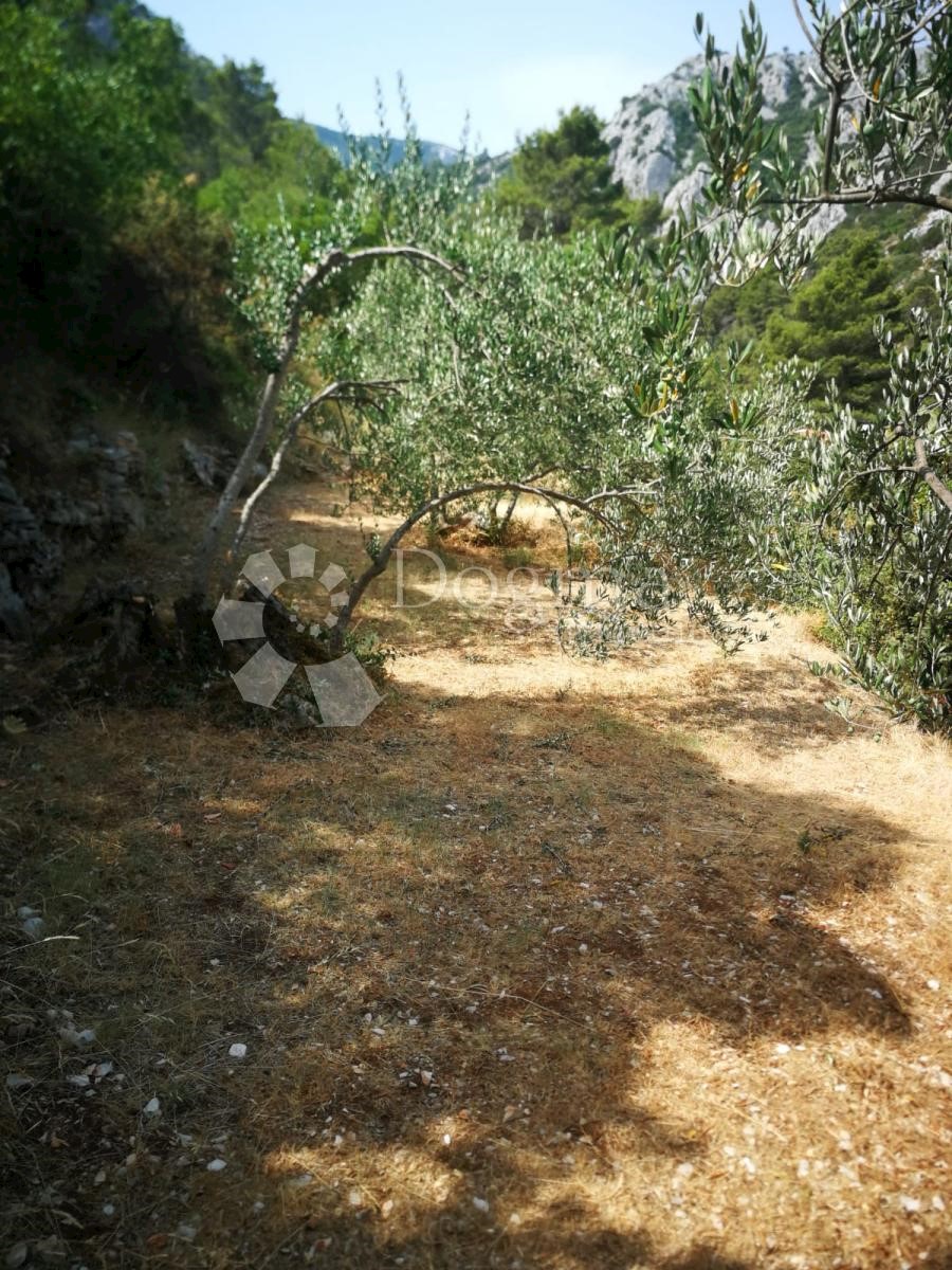 Parcela Na predaj - DUBROVAČKO-NERETVANSKA  TRPANJ 