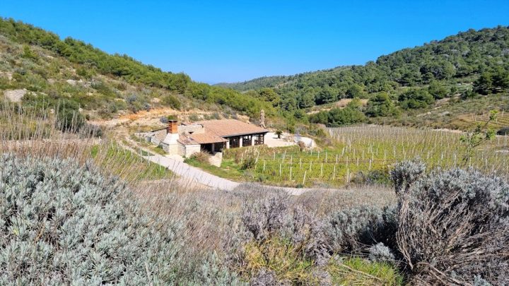 Maison À vendre - Splitsko-dalmatinska Vis - foto 2/9