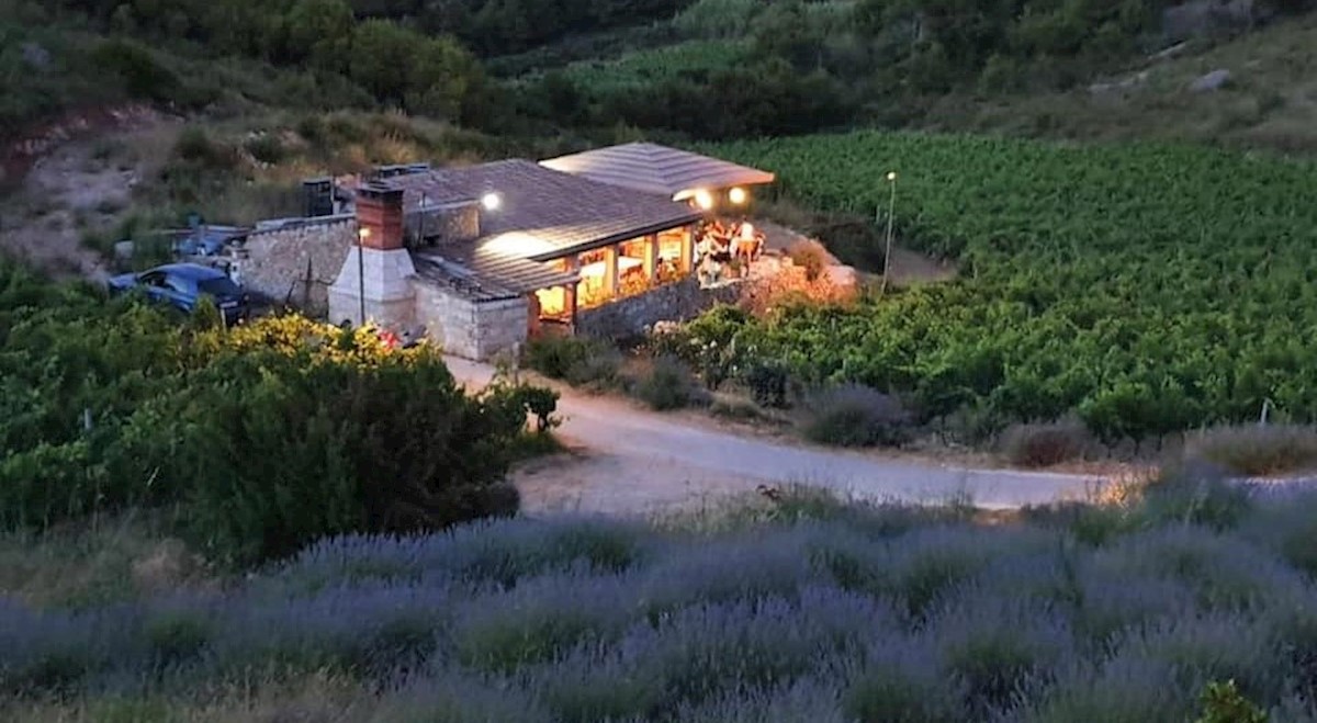 Maison À vendre - SPLITSKO-DALMATINSKA  Vis