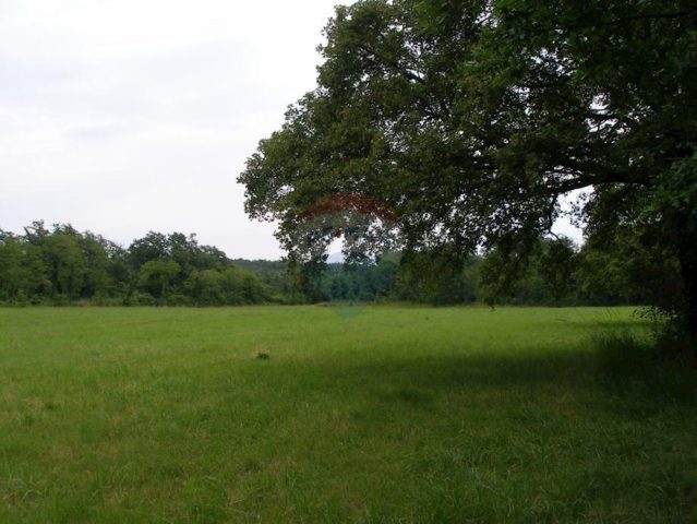 Działka Na sprzedaż - Istarska žminj - foto 2/2