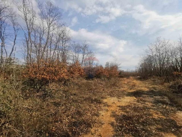 Pozemek na prodej 415 m² – Marčana