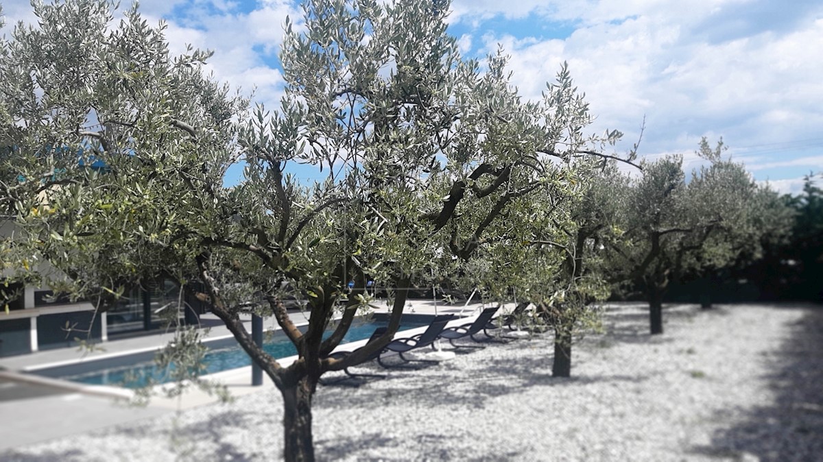 House For sale - ISTARSKA  POREČ 