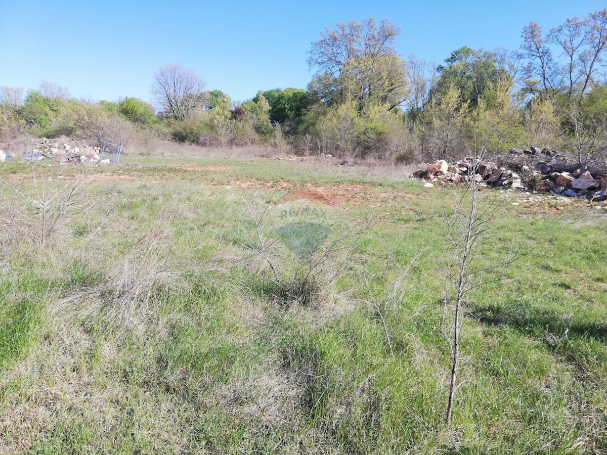 Terreno In vendita - ISTARSKA  KANFANAR 