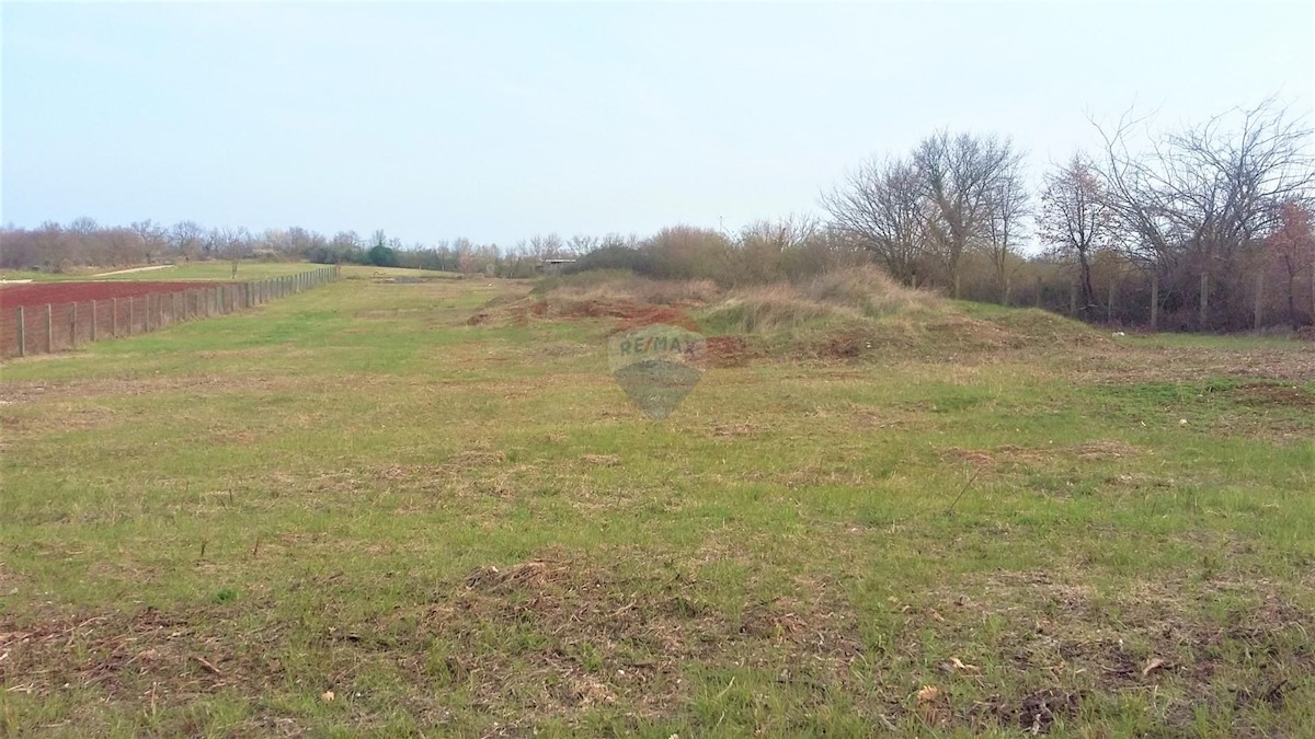 Land For sale - ISTARSKA  BRTONIGLA 