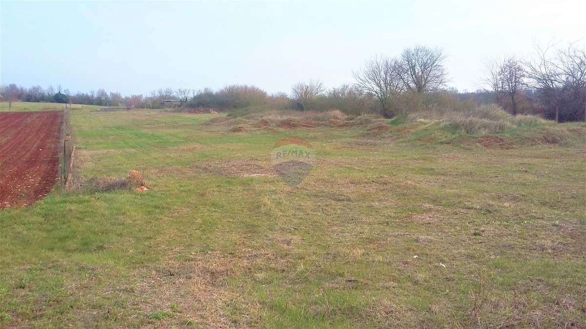 Land For sale - ISTARSKA  BRTONIGLA 