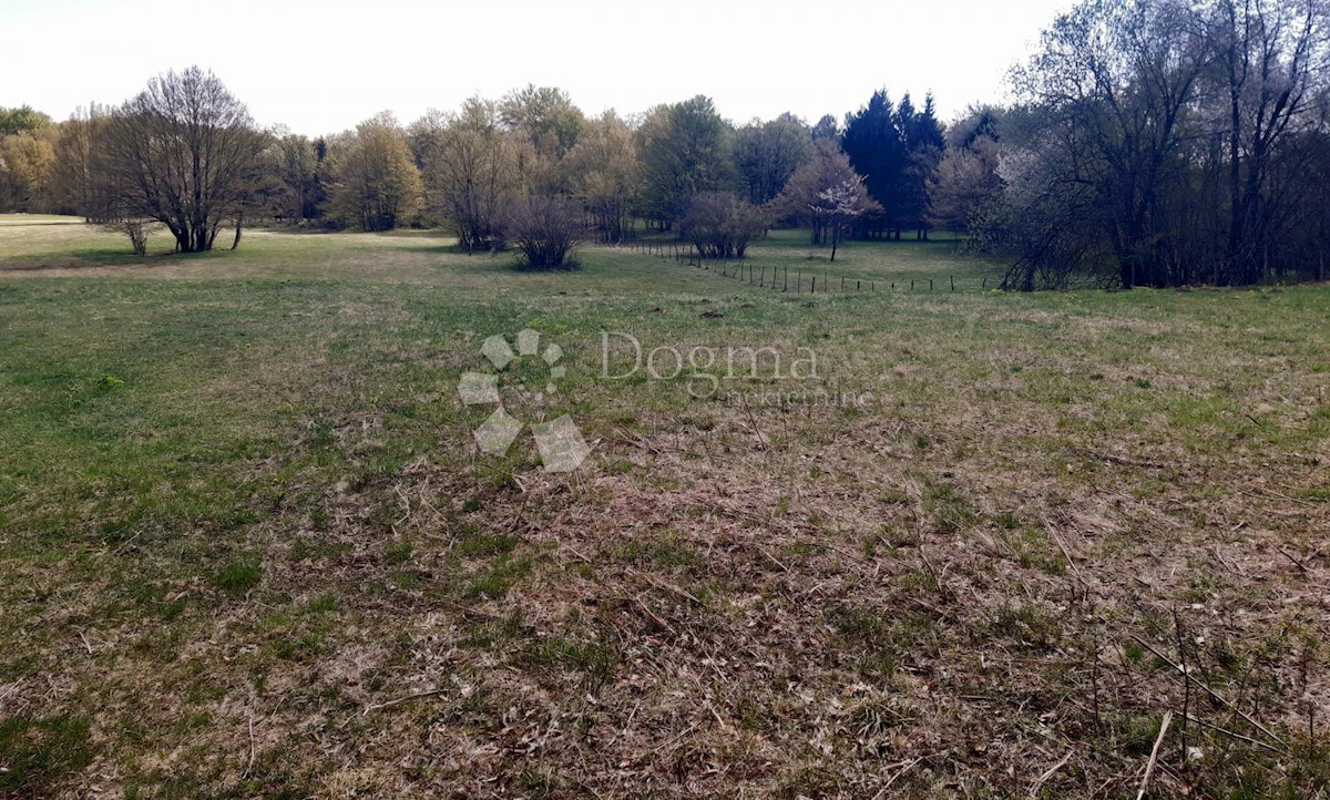 Land For sale - KARLOVAČKA  OGULIN 