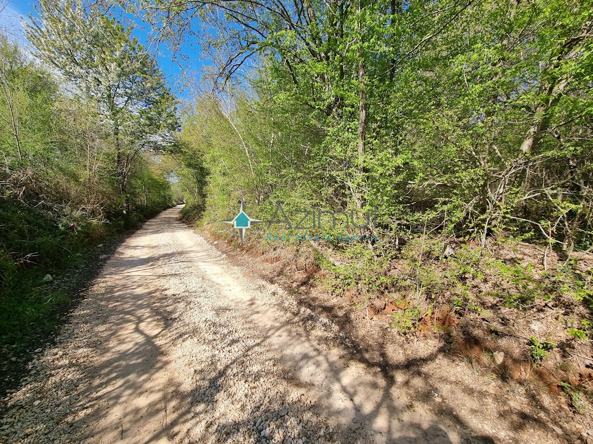 Zemljište Na prodaju - ISTARSKA  UMAG 