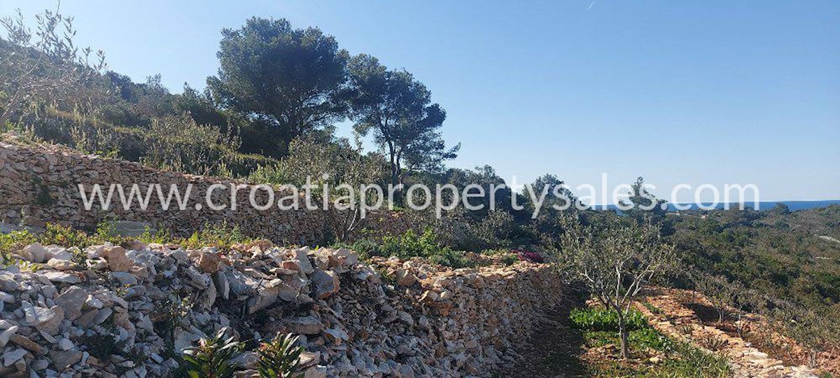 Land For sale - SPLITSKO-DALMATINSKA  VIS 