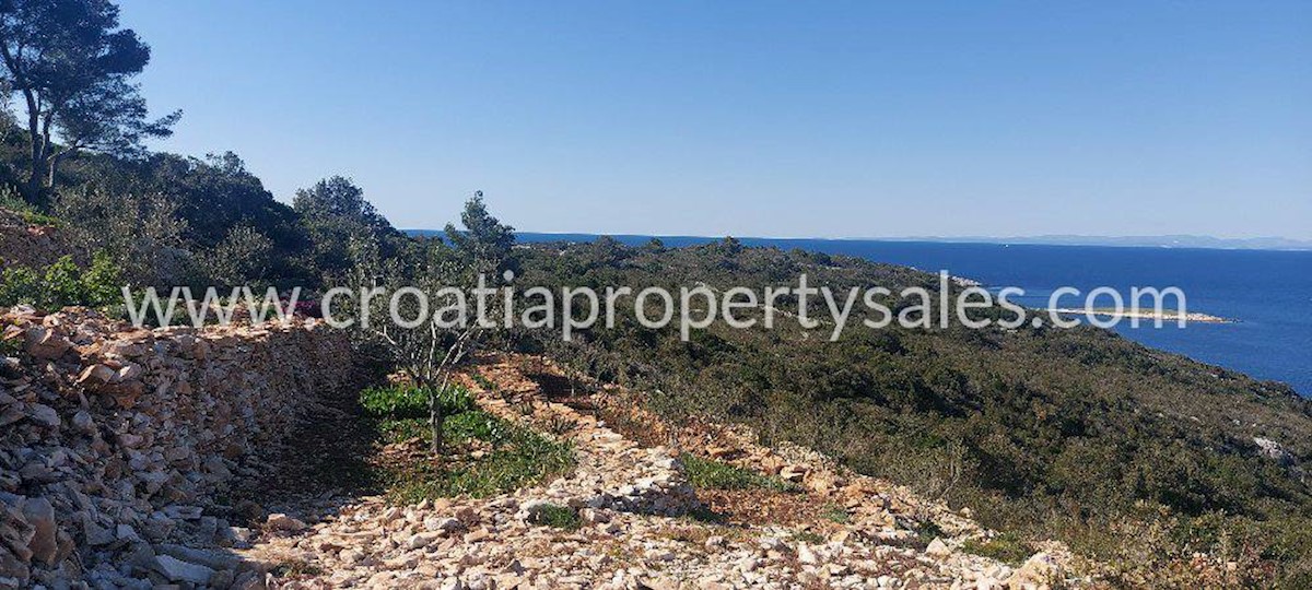 Land For sale - SPLITSKO-DALMATINSKA  VIS 