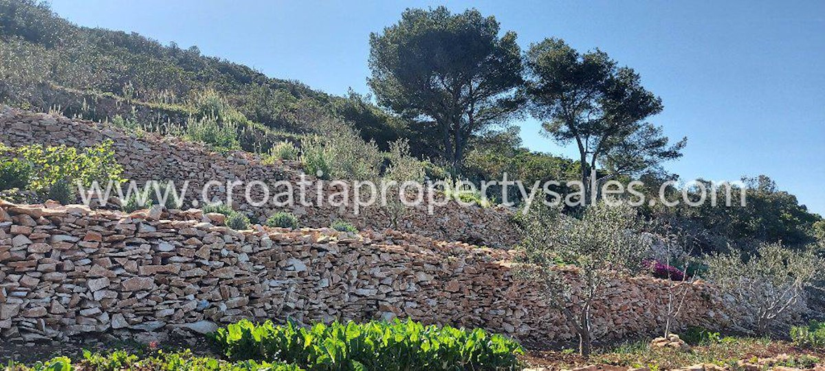 Land For sale - SPLITSKO-DALMATINSKA  VIS 