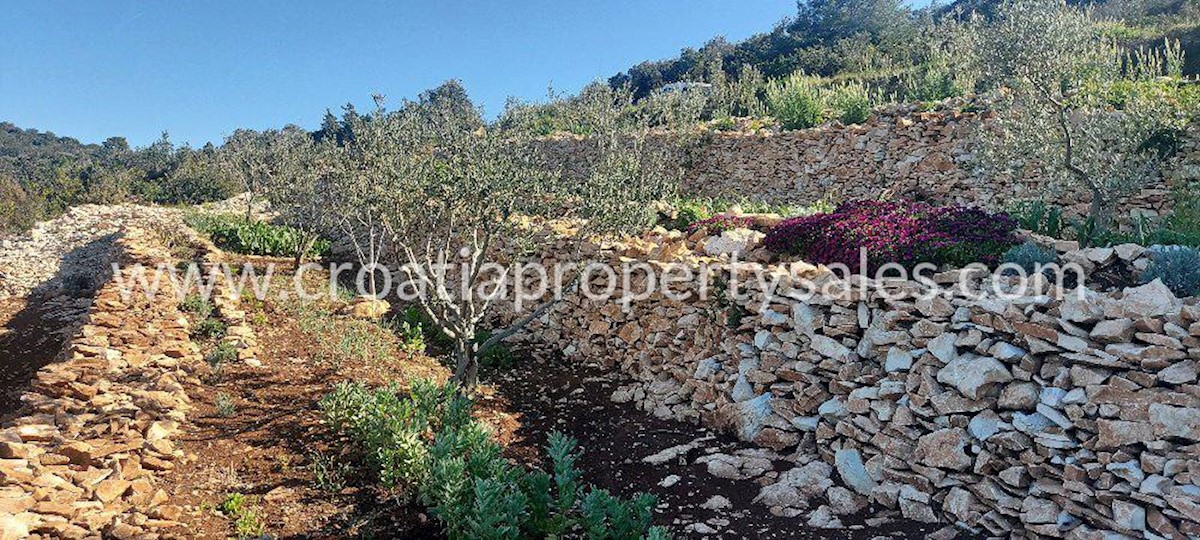 Land For sale - SPLITSKO-DALMATINSKA  VIS 