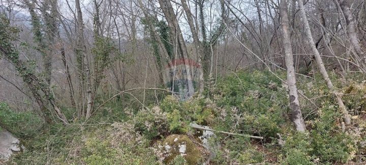 Land For sale - Primorsko-goranska Opatija - foto 2/5