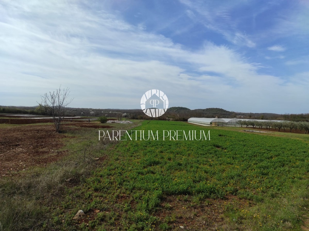 Parcela Naprodaj - ISTARSKA  Poreč