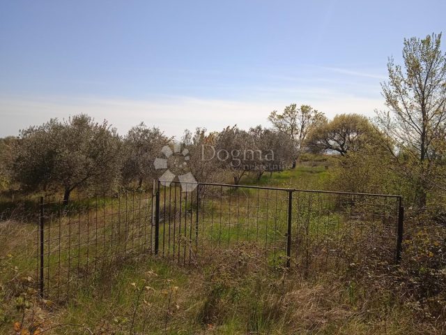 Parcela Naprodaj - Istarska Vodnjan - foto 2/7