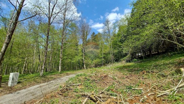 Land For sale - Primorsko-goranska Delnice - foto 2/2