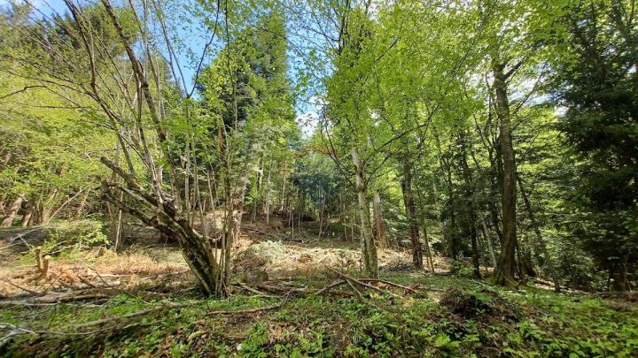 Parcela Naprodaj - Primorsko-goranska Delnice - foto 3/3