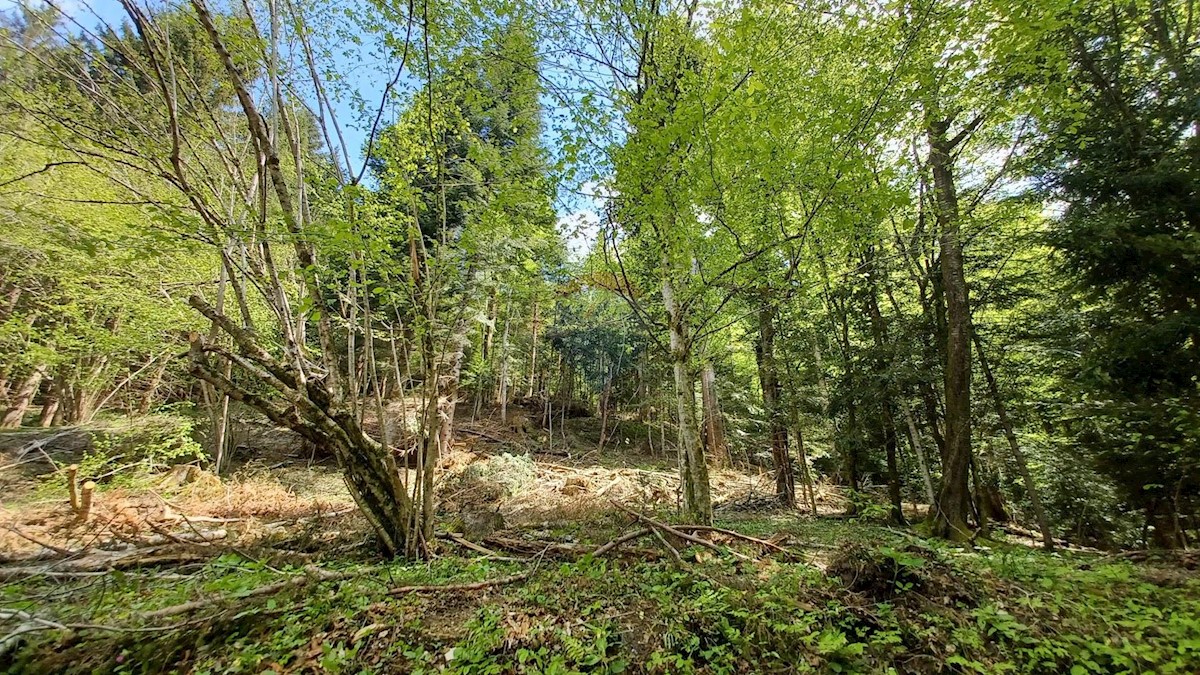 Parcela Naprodaj - PRIMORSKO-GORANSKA  Delnice