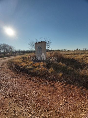 Land For sale - Istarska Umag - foto 4/5