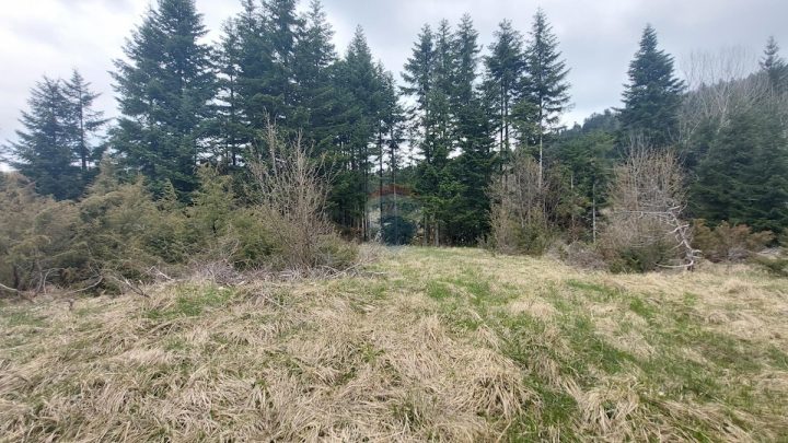 Terreno in vendita 30749 m² – Stari Laz