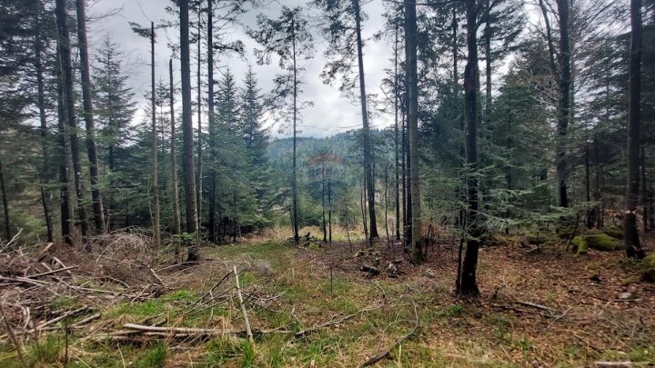 Grundstück Zu verkaufen - Primorsko-goranska Ravna Gora - foto 2/2