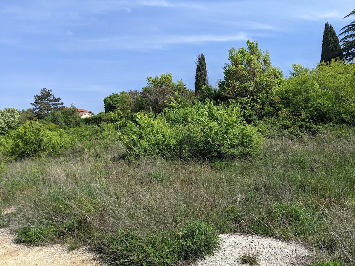 Pozemok Na predaj - ISTARSKA LABIN