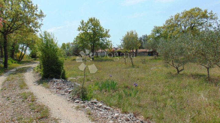 Pozemek Na prodej - Istarska Rovinj - foto 4/10