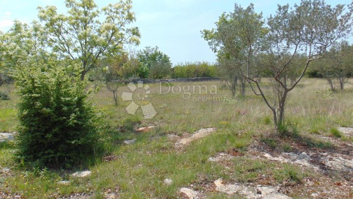 Pozemek Na prodej - Istarska Rovinj - foto 5/10