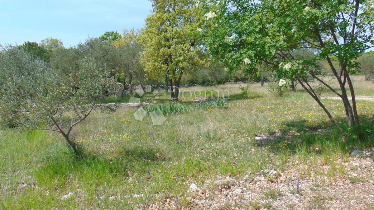 Land For sale - ISTARSKA  Rovinj