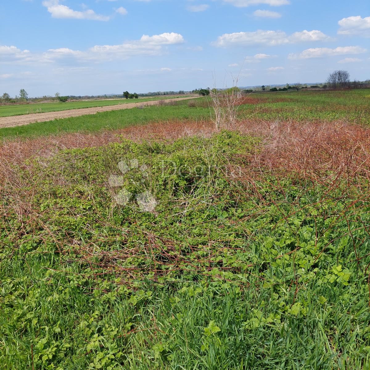 Zemljište Na prodaju - VARAŽDINSKA  VARAŽDIN 