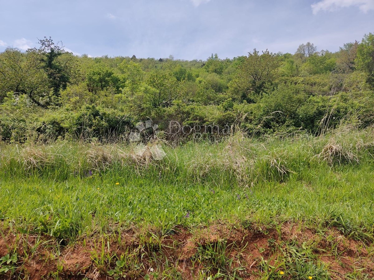 Land For sale - PRIMORSKO-GORANSKA  OPATIJA 