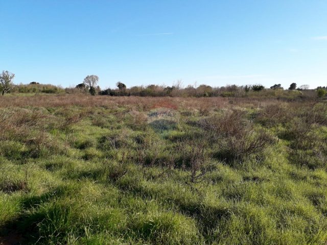Terrain à vendre 1654 m² – Medulin