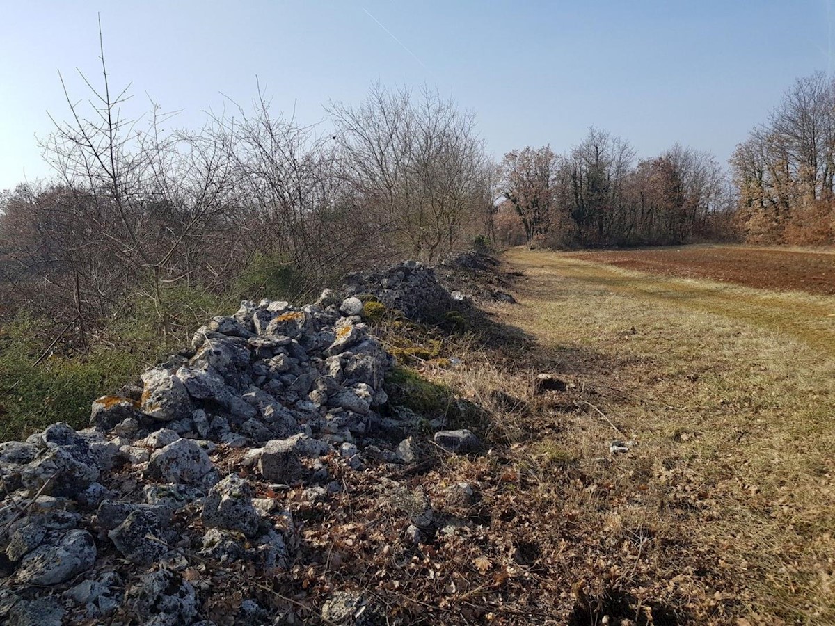 Pozemek Na prodej - ISTARSKA  SVETVINČENAT 