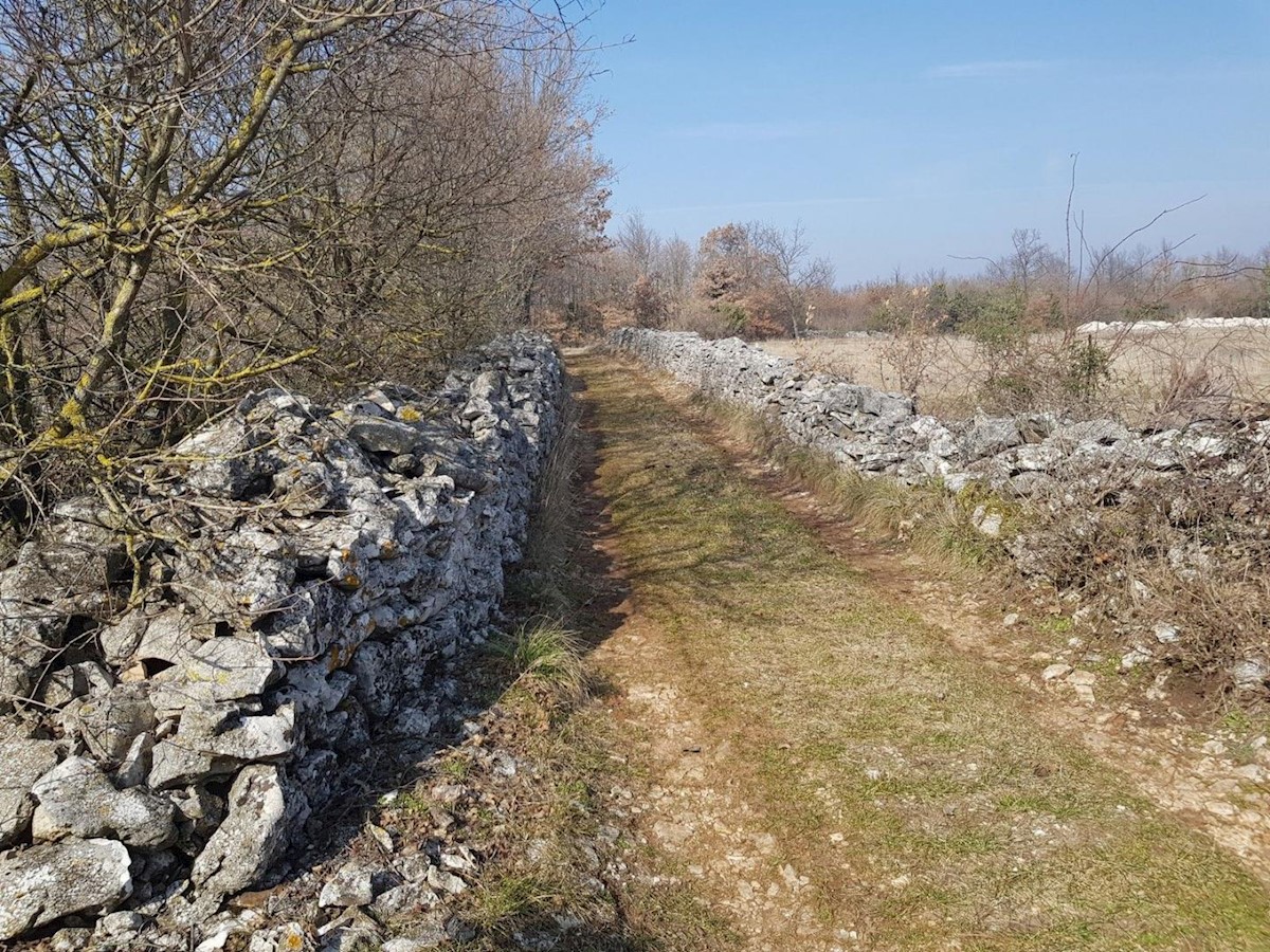 Pozemek Na prodej - ISTARSKA  SVETVINČENAT 