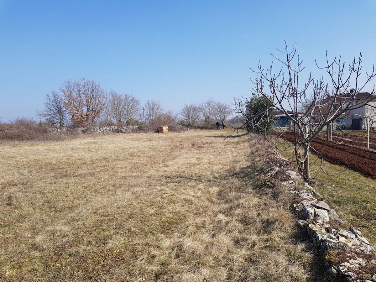 Pozemek Na prodej - ISTARSKA  SVETVINČENAT 