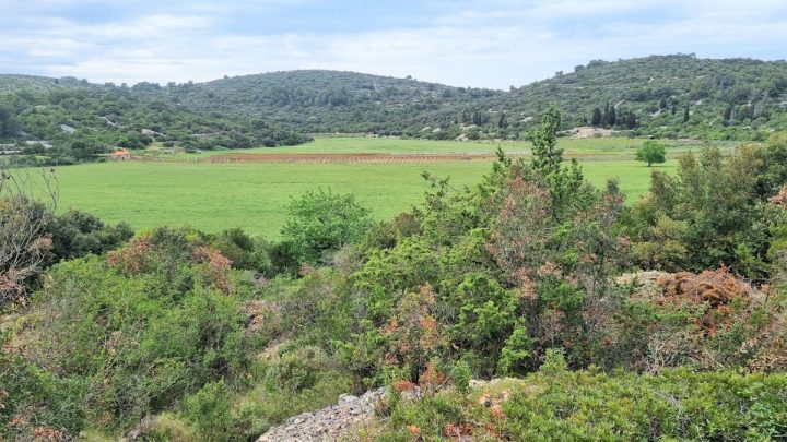 Parcela na predaj 7490 m² – Vis